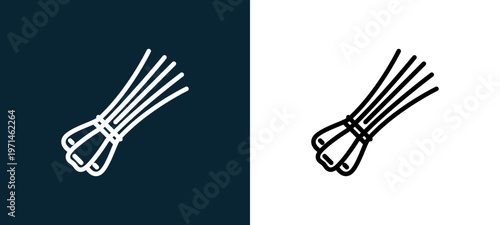 Two-color chives outline icon pair in black and white, editable stroke vector illustration for web, mobile apps, UI design, branding, and print from gastronomy