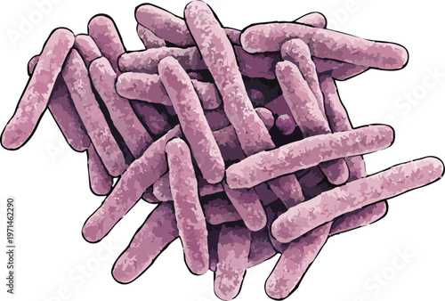Mycobacterium tuberculosis illustration