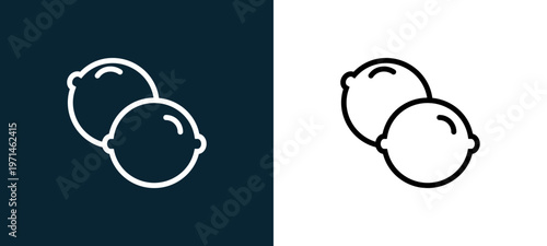 Two-color lime outline icon pair in black and white, editable stroke vector illustration for web, mobile apps, UI design, branding, and print from gastronomy