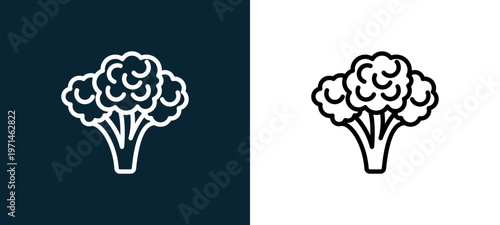 Two-color broccoli outline icon pair in black and white, editable stroke vector illustration for web, mobile apps, UI design, branding, and print from gastronomy