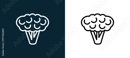 Two-color cauliflower outline icon pair in black and white, editable stroke vector illustration for web, mobile apps, UI design, branding, and print from gastronomy