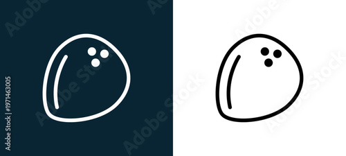 Two-color coconut outline icon pair in black and white, editable stroke vector illustration for web, mobile apps, UI design, branding, and print from gastronomy