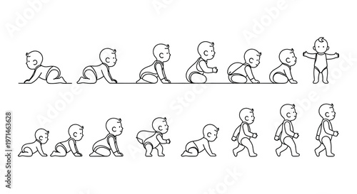 Line art illustrations depicting various stages of baby development and sleep