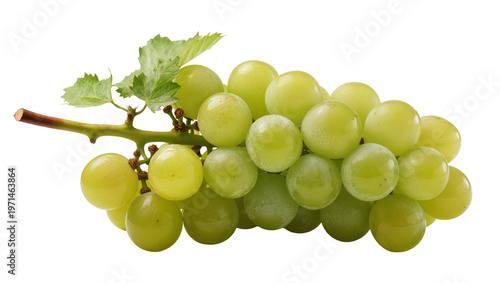 Fresh green grapes with leaves, isolated on transparent background
