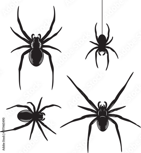 Four black silhouettes of spiders on white background