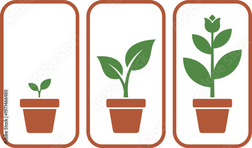 Three rectangular icons showing stages of plant growth from a small seedling to a mature plant with a flower bud.