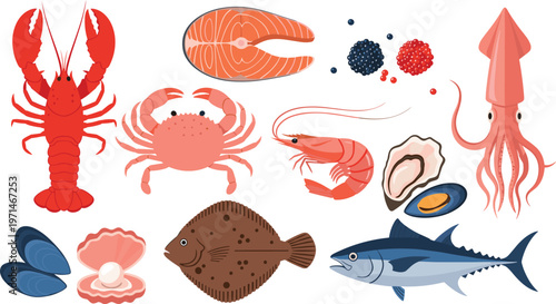 Seafood Illustration Set Featuring Lobster, Crab, Shrimp, Squid, Fish, Mussels, Oyster, and Salmon for Marine Food, Restaurant Menu, and Cooking Design