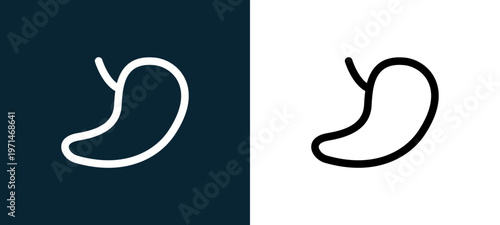 Two-color kidney outline icon pair in black and white, editable stroke vector illustration for web, mobile apps, UI design, branding, and print from body parts