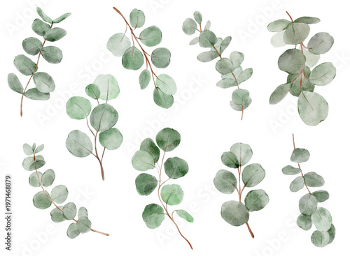 Watercolor eucalyptus branches set in soft natural tones. Fresh botanical elements feel calm and modern and perfect for branding or wedding design.