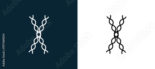 Two-color dna strands outline icon pair in black and white, editable stroke vector illustration for web, mobile apps, UI design, branding, and print from body parts