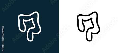 Two-color large intestines outline icon pair in black and white, editable stroke vector illustration for web, mobile apps, UI design, branding, and print from body parts
