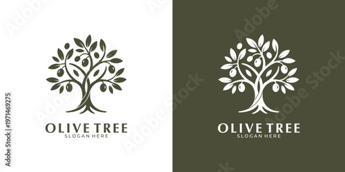 Olive tree logo with branches and olives
