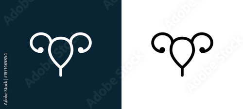 Two-color uterus and fallopian tube outline icon pair in black and white, editable stroke vector illustration for web, mobile apps, UI design, branding, and print from body parts