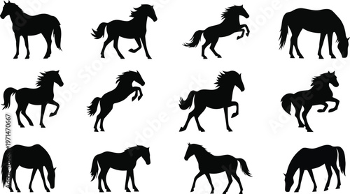 12 vector icon set of horses with different poses isolated on white background