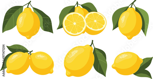 Lemon Fruit Icon Set Featuring Whole, Sliced, and Grouped Citrus with Leaves for Fresh Summer Food, Juice, and Organic Nutrition Design