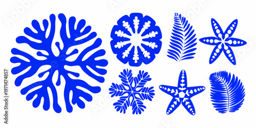 Stylized blue illustrations of various marine life and coral formations