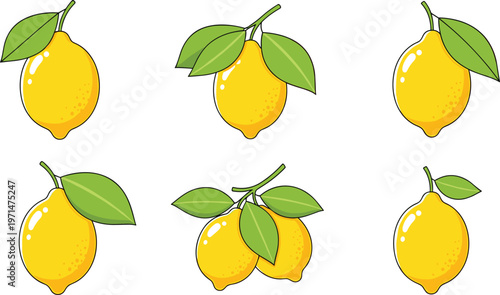 Lemon Fruit Illustration Set Featuring Fresh Yellow Citrus with Leaves in Different Arrangements for Healthy Food, Juice, and Organic Nutrition Design