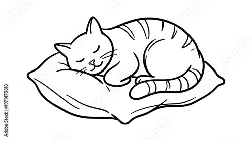Tabby cat sleeping on soft pillow, hand-drawn black line art sketch on white background
