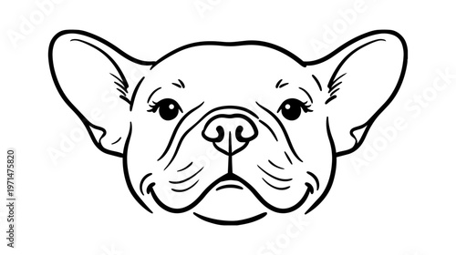 French bulldog portrait: minimalist hand-drawn dog head sketch with bold linework on white background