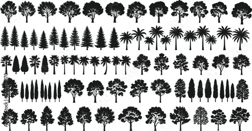 Collection of Diverse Tree Silhouettes Including Pine Palm Cypress and Deciduous Styles for Nature Landscape Design and Environmental Vector Graphics