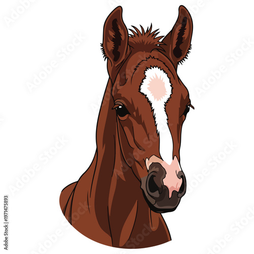 Brown Baby Horse Foal Head Vector Illustration