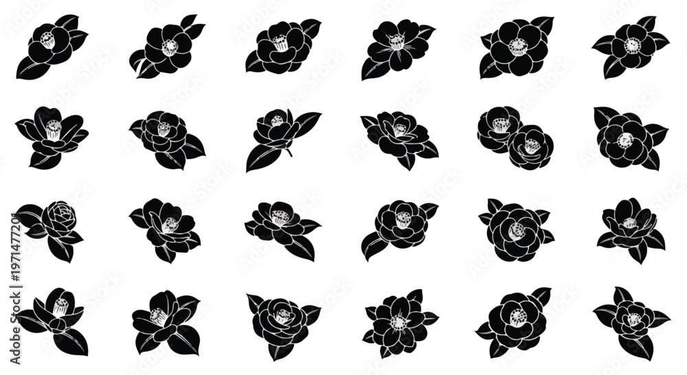 Fototapeta premium Collection of black and white stylized camellia flower icons and illustrations on a clean white background