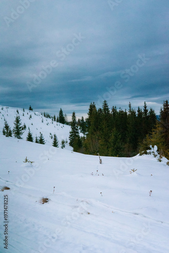 winter mountain landscape with mountains and forest covered with snow and fog, valleys in the snow, Carpathians