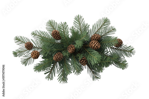 Pine tree branches with green needles and brown pine cones, symbolizing winter holidays and seasons, transparent background