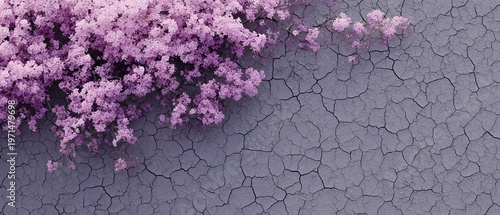 Purple Flowers on Cracked Earth