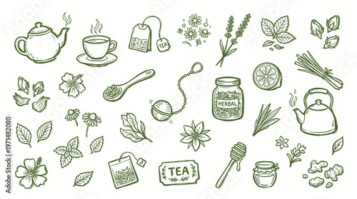 Hand Drawn Tea Elements Collection Herbal Infusions and Brewing Accessories Sketch Style