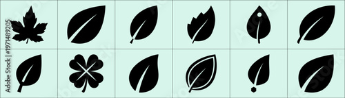 Twelve black leaf silhouettes in two rows of six on light mint green