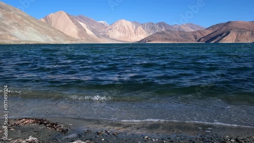 Cinematic shot of Pangong Lake during early morning, with soft golden light reflecting on the calm water as birds gently glide across the surface. Ideal moment for travel and nature storytelling.