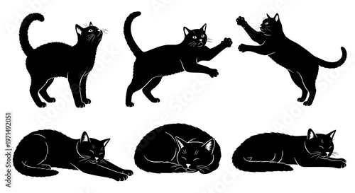 Cats black silhouette set with white outlines in various poses and expressions on white background featuring cat, animals, feline with pets and