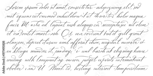 Elegant vintage calligraphy script text block featuring dummy lorem ipsum placeholder content in black ink vector illustration