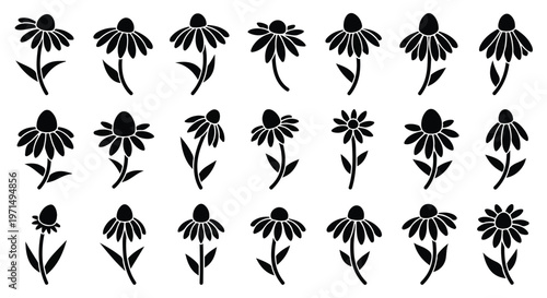 Collection of black silhouette echinacea flowers with stems and leaves on a white background
