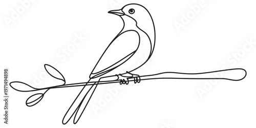 A simple black and white line drawing of a small bird perched calmly on a thin tree branch Vector, illustration