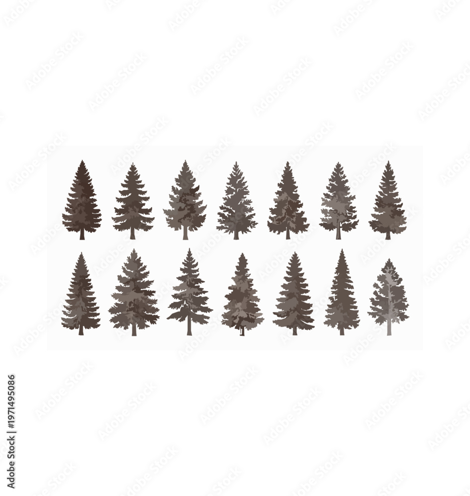 Fototapeta premium Brown silhouette pine and fir trees vector set hand drawn engraving forest collection isolated on white background