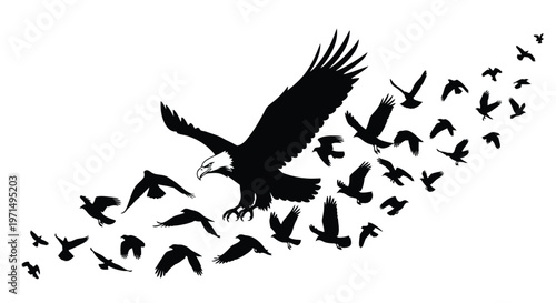 Bald eagle leading a flock of birds in dynamic flight silhouette