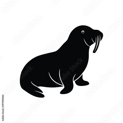 Simple Walrus Illustration