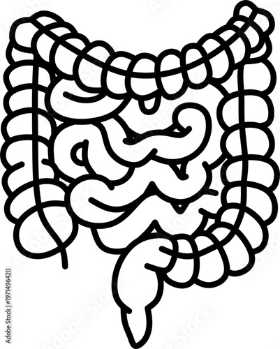 Anatomy diagram organ