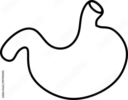 Anatomy stomach icon