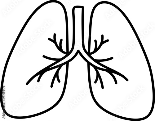 Medical organ outline