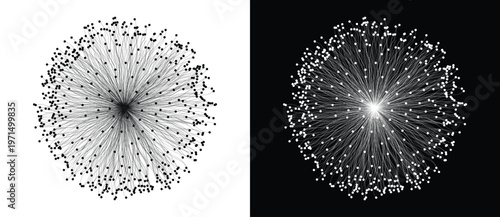 Symmetric dense radial burst of curved lines with prominent dot tips from glowing center on white and black backgrounds. Monochrome vector illustration for neuron, AI, data network and science concept