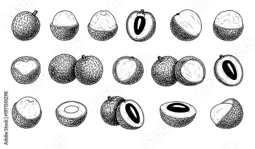 Minimal lychee fruit sketch icon set whole peeled and half tropical vector isolated on white background