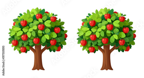 apple tree, fruit tree, apple orchard, tree illustration, apple illustration, tree vector, apple vector, tree clipart, apple clipart, tree design, apple design, tree graphic, apple graphic, tree drawi