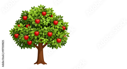 apple, tree, appletree, fruit, fruits, orchard, farm, farming, agriculture, nature, plant, plants, leaf, leaves, branch, branches, trunk, garden, gardening, harvest, autumn, organic, fresh, healthy, f