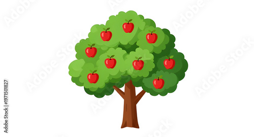 apple, tree, appletree, fruit, fruits, orchard, farm, farming, agriculture, nature, plant, plants, leaf, leaves, branch, branches, trunk, garden, gardening, harvest, autumn, organic, fresh, healthy, f