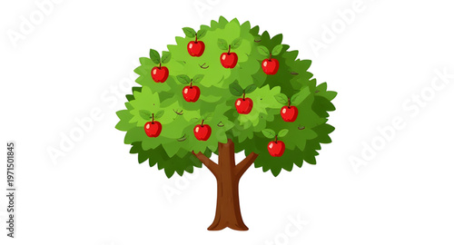 apple, tree, appletree, fruit, fruits, orchard, farm, farming, agriculture, nature, plant, plants, leaf, leaves, branch, branches, trunk, garden, gardening, harvest, autumn, organic, fresh, healthy, f