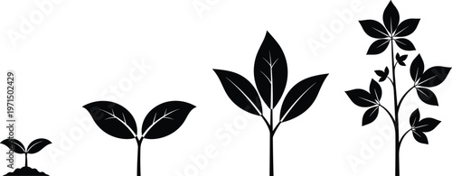 Plant growth stages icon collection with sprout seedling mature foliage nature artwork, black vector template set