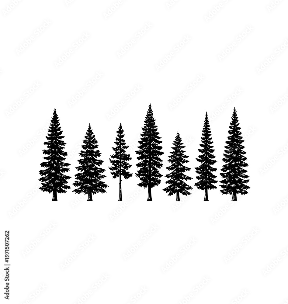 Obraz premium Hand drawn engraving pine and fir tree silhouettes vector forest set in brown isolated on white background